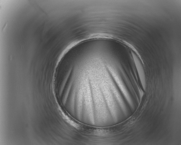 X0000079581379200612152055