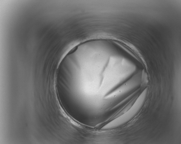 X0000079581390200612152054