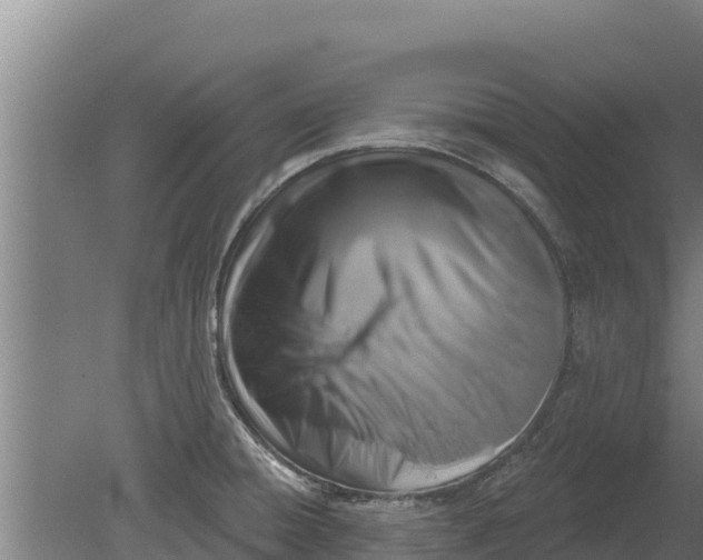 X0000079581428200612152054