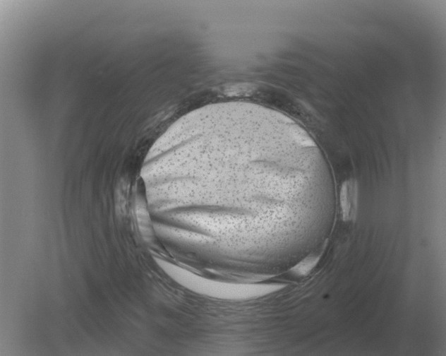 X0000079581443200612152054