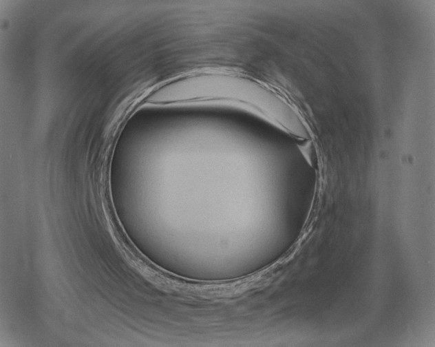 X0000079580001200612221442