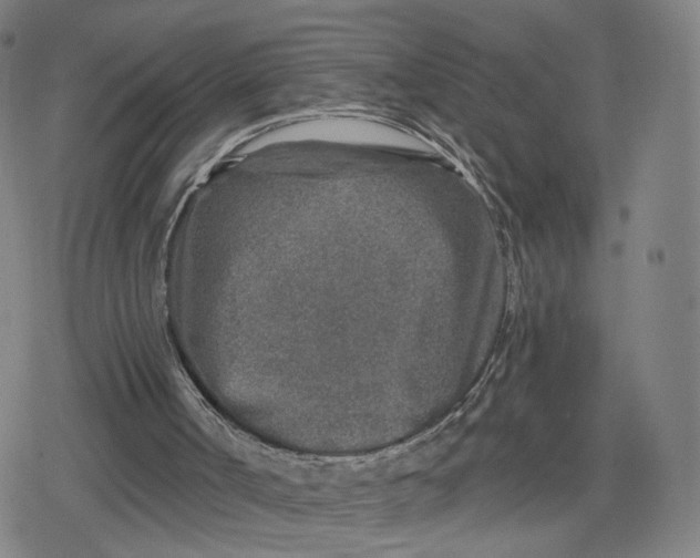 X0000079580002200612221442