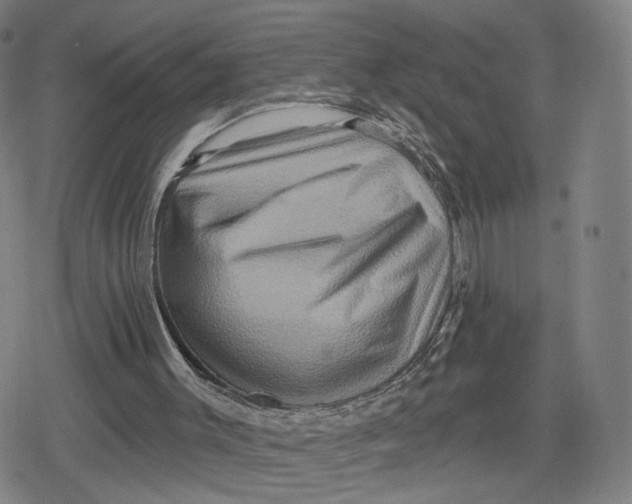 X0000079580003200612221442