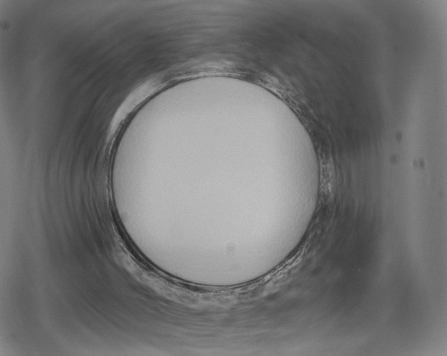 X0000079580004200612221442