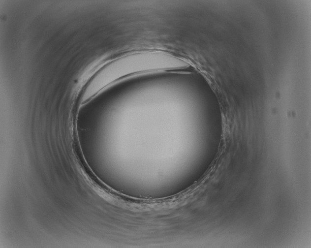 X0000079580005200612221442