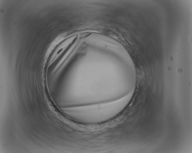 X0000079580006200612221442