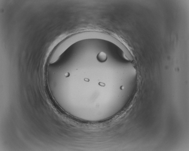 X0000079580008200612221442