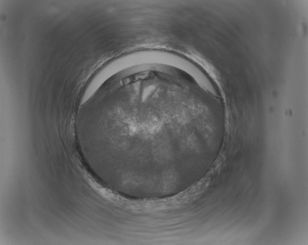 X0000079580009200612221442