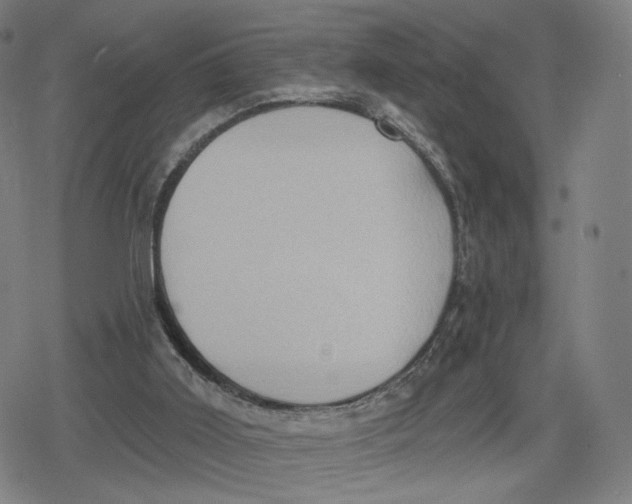 X0000079580011200612221442