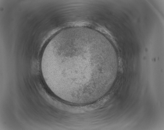 X0000079580012200612221442