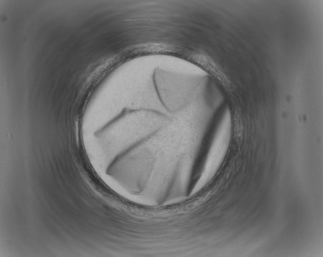 X0000079580014200612221442