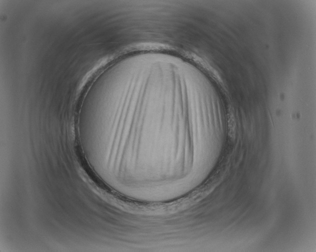 X0000079580015200612221442