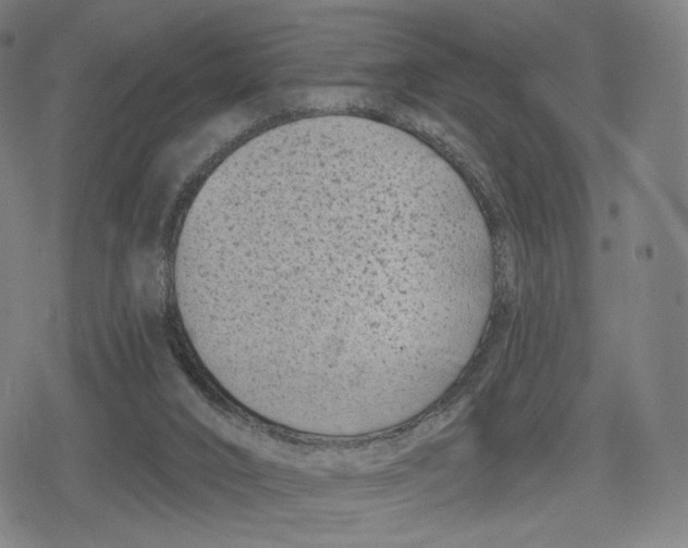 X0000079580016200612221442