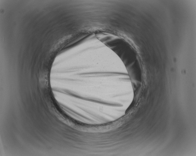 X0000079580017200612221442