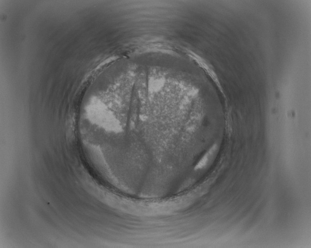 X0000079580018200612221442