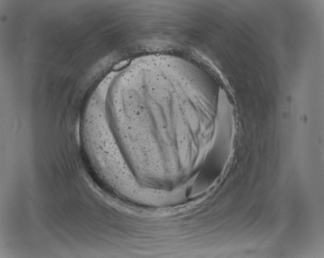 X0000079580019200612221442