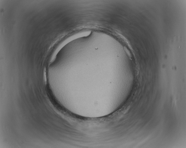 X0000079580020200612221442