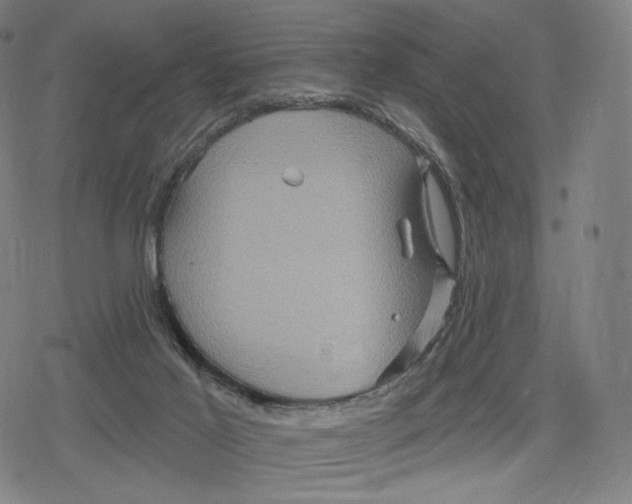 X0000079580021200612221442