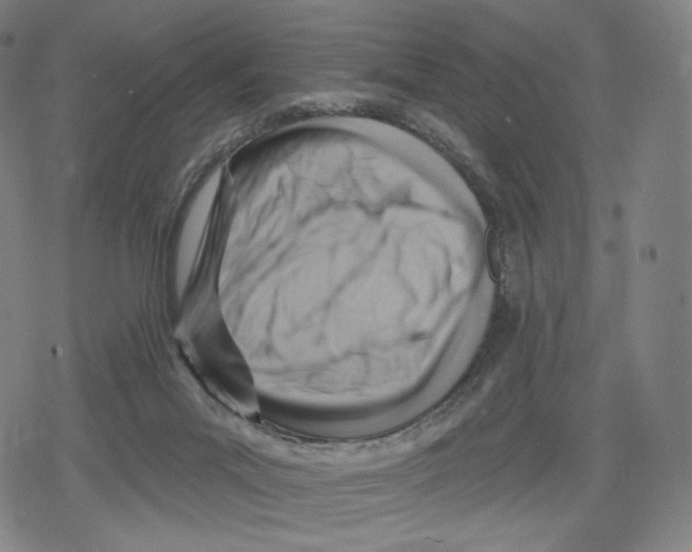 X0000079580023200612221442