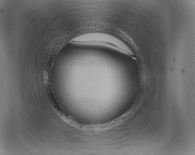 X0000079580025200612221442