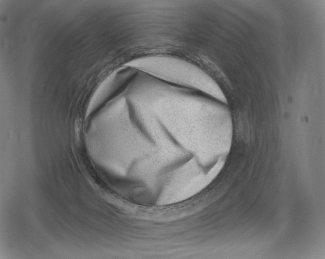 X0000079580026200612221442