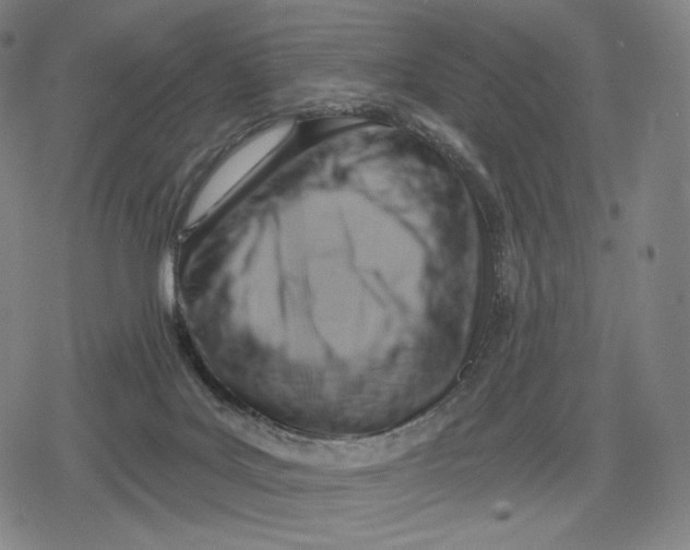 X0000079580027200612221442