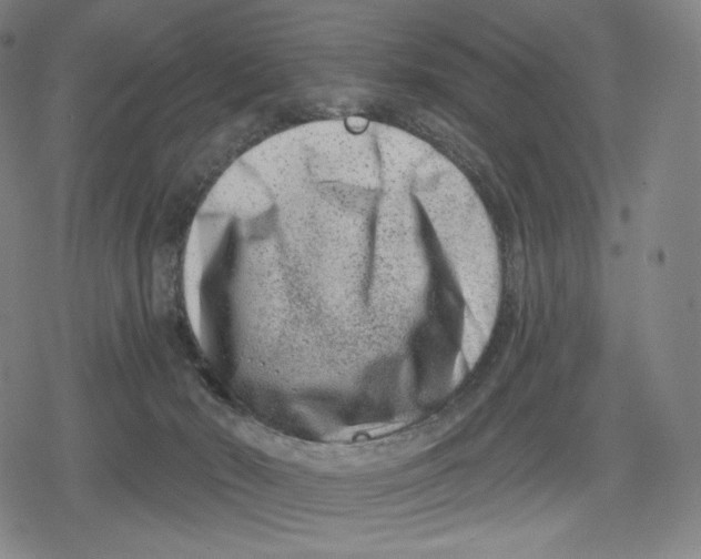 X0000079580030200612221442