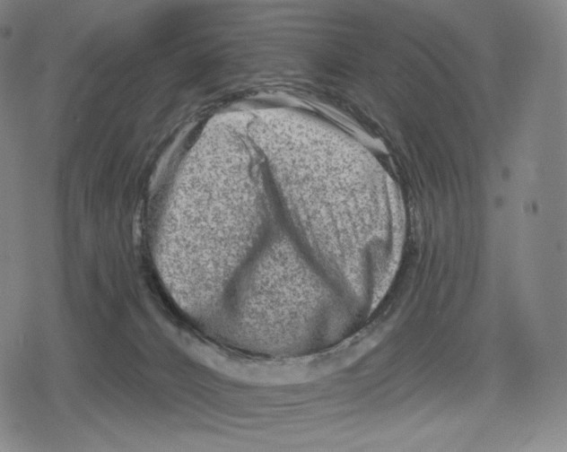 X0000079580032200612221442