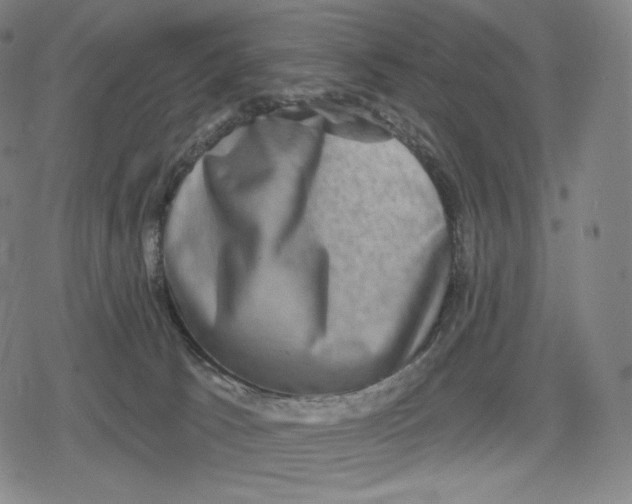 X0000079580033200612221442