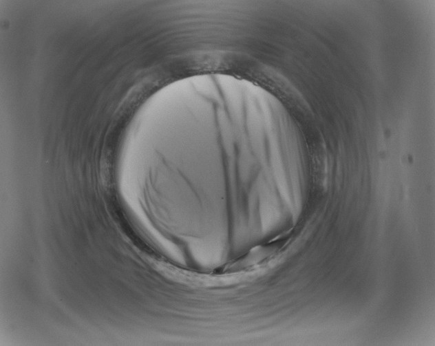 X0000079580035200612221442