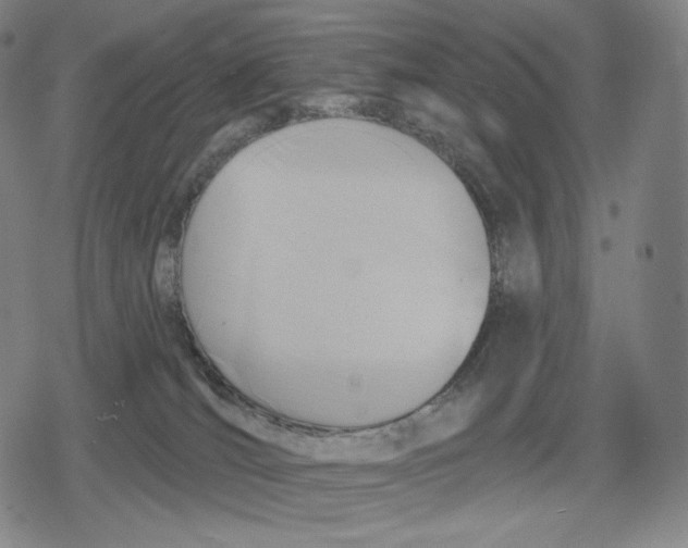 X0000079580036200612221441