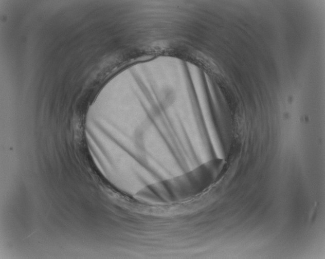 X0000079580037200612221441