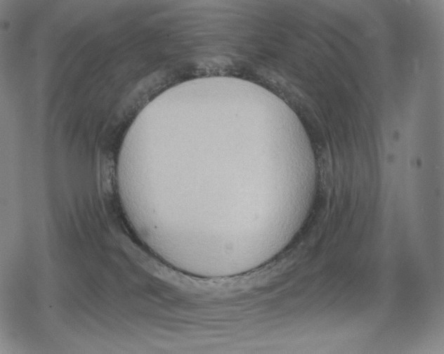 X0000079580038200612221441