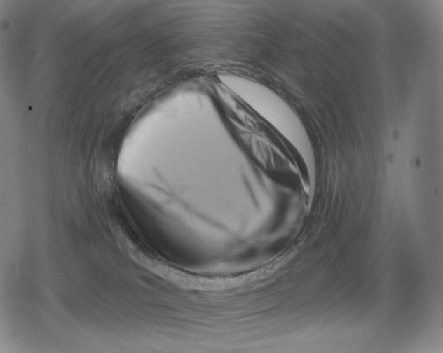 X0000079580039200612221441