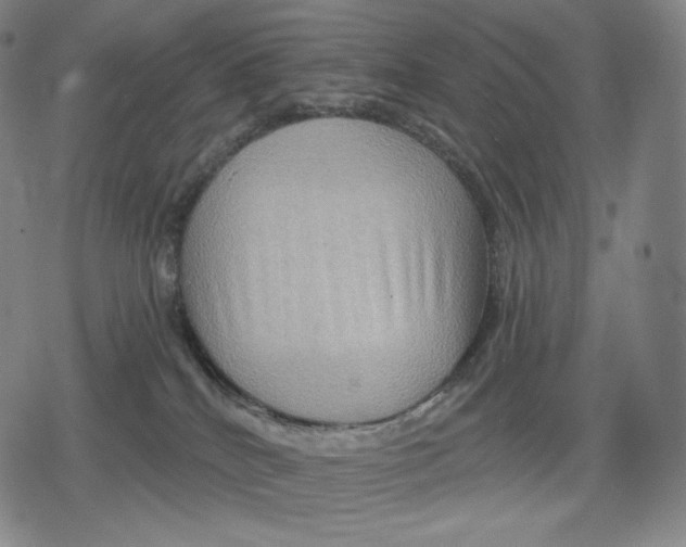 X0000079580040200612221441