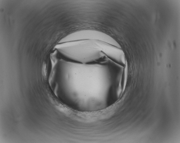 X0000079580041200612221441