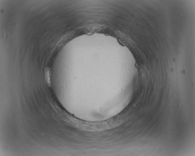 X0000079580042200612221441