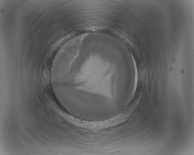 X0000079580043200612221441