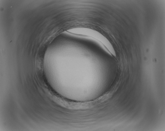 X0000079580044200612221441