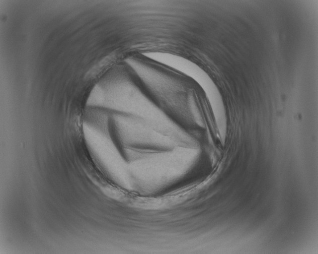 X0000079580045200612221441