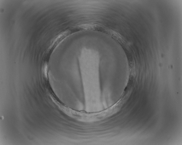 X0000079580047200612221441