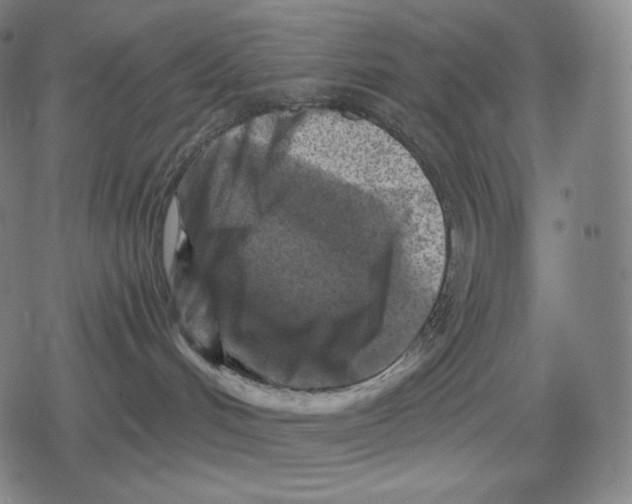 X0000079580048200612221441