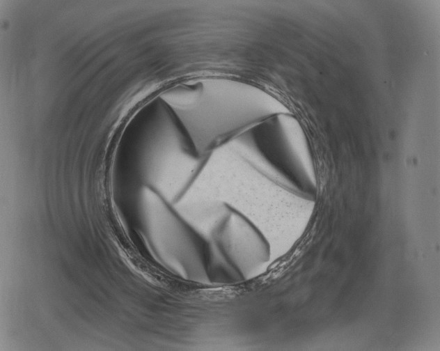 X0000079580050200612221441