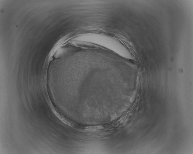 X0000079580051200612221441