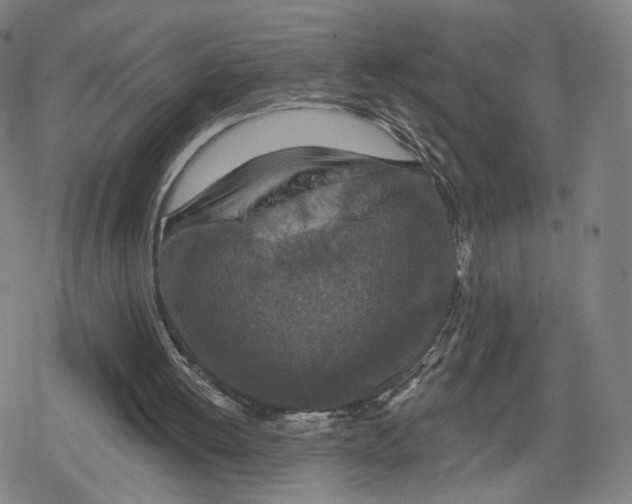 X0000079580052200612221441