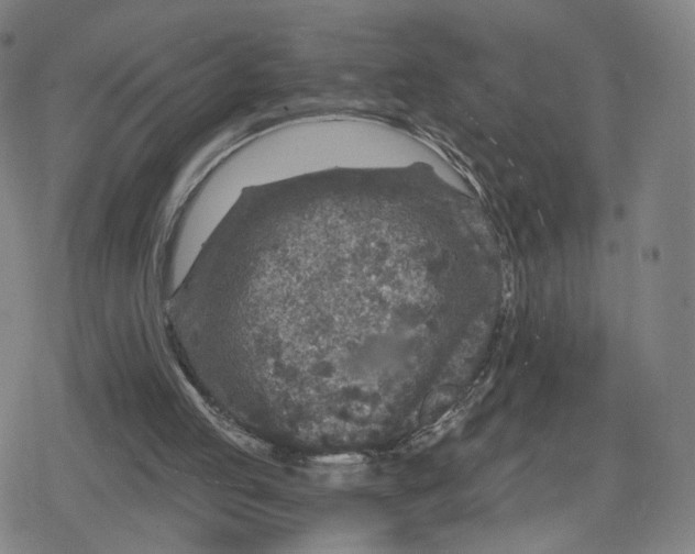 X0000079580053200612221441