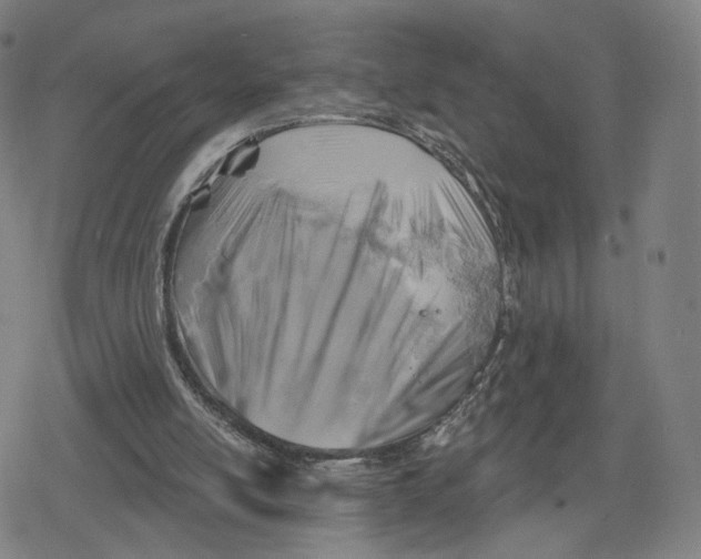 X0000079580054200612221441