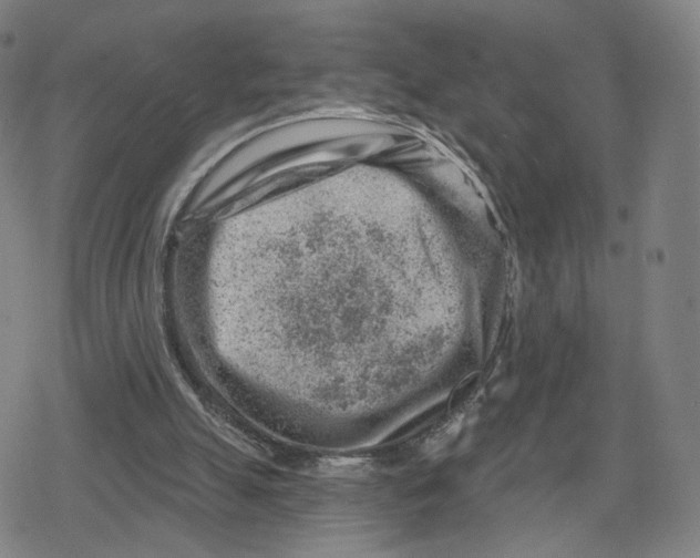 X0000079580055200612221441