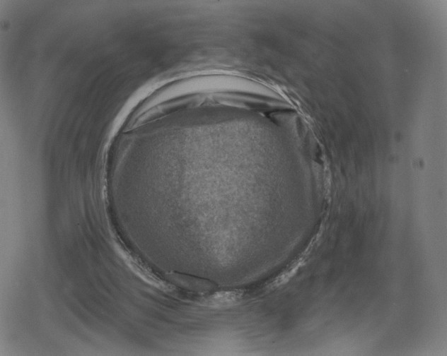 X0000079580056200612221441