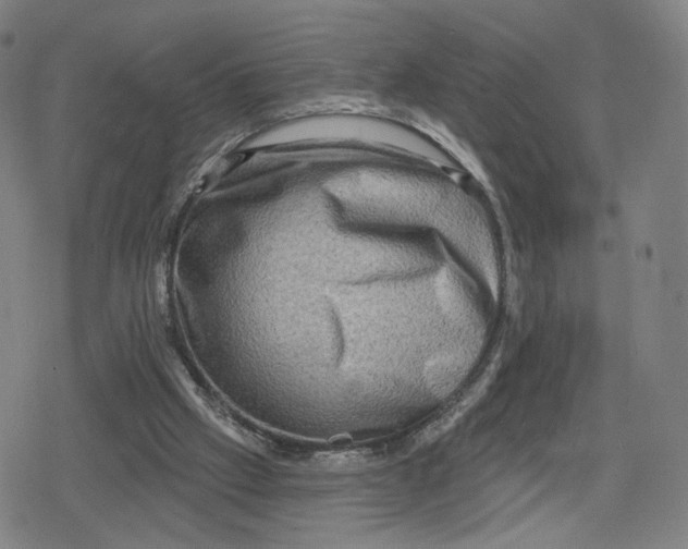 X0000079580057200612221441